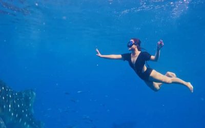 Discover Cebu: History, Adventure, and Marine Wonders