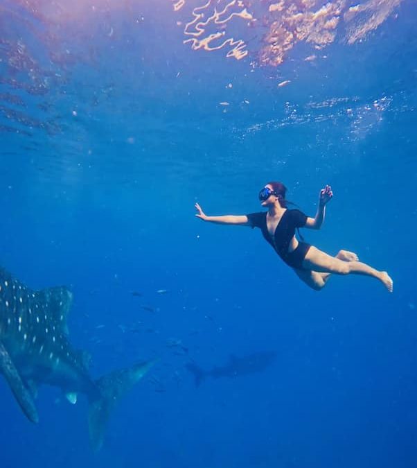 Discover Cebu: History, Adventure, and Marine Wonders