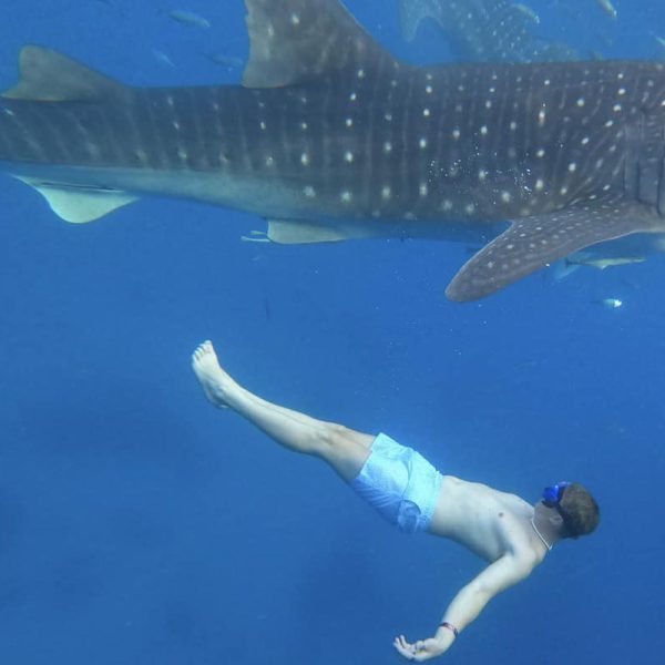 Cebu Isla Tour - Image 2