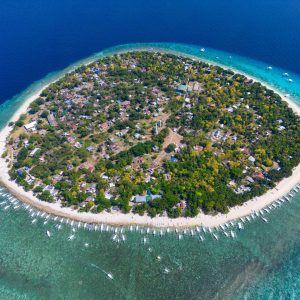 Bohol Isla Tour